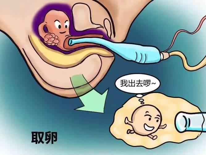 供卵试管代怀选性别-供卵试管代怀：选择宝宝性别的全新方式