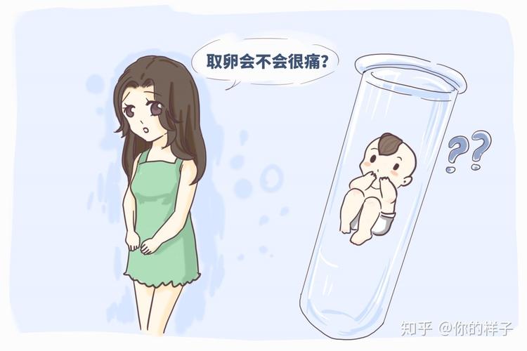 供卵的孩子和母亲没有血缘吗【非血缘母子：供卵孩子的成长之路】