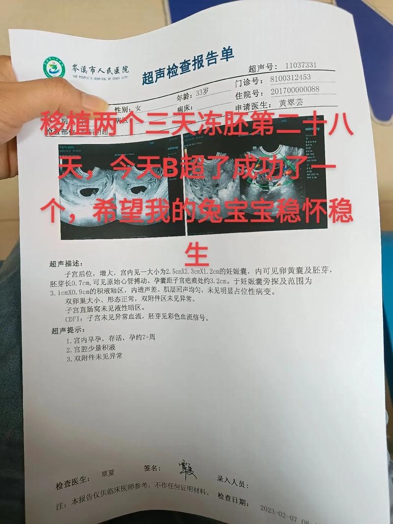 供卵试管代怀违法吗-供卵试管代怀违法吗?法律与道德的边界探讨