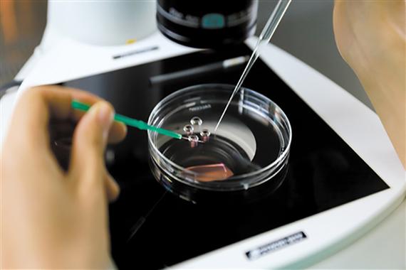 供卵试管代怀信息_供卵试管代怀:一站式解决生育难题