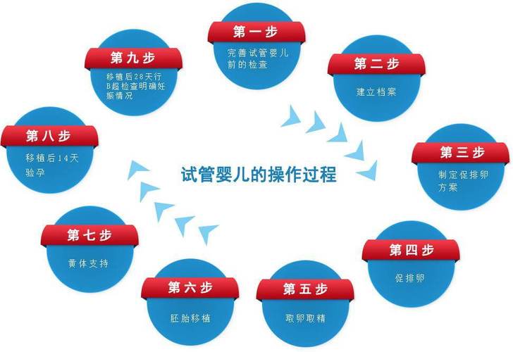 供卵需要什么手续【供卵手续需知-详细解读供卵需要什么手续】