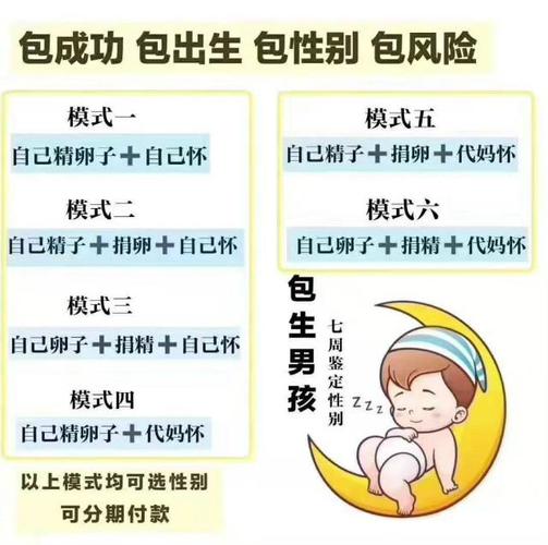 供卵怀孕包男孩-实现梦想供卵怀孕包男孩计划指南”