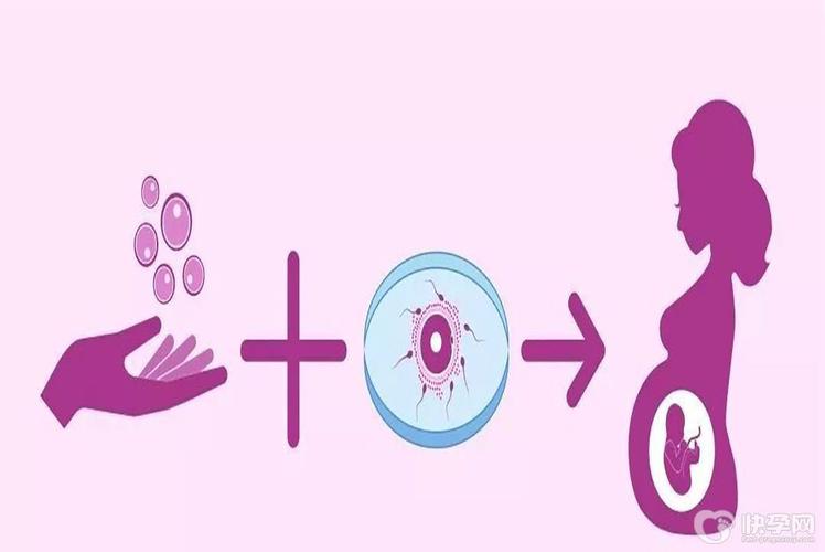 供卵试管婴儿选性别包成功【供卵试管婴儿选性别包成功：实现你梦寐以求的宝宝性别】