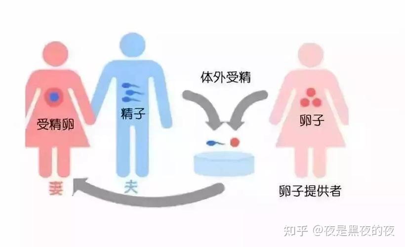 供卵生的孩子法律上认可吗-供卵生孩子的法律认可问题研究
