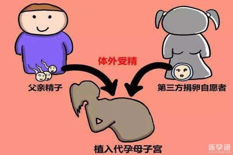 供卵需要具备什么条件(供卵需具备哪些条件？)