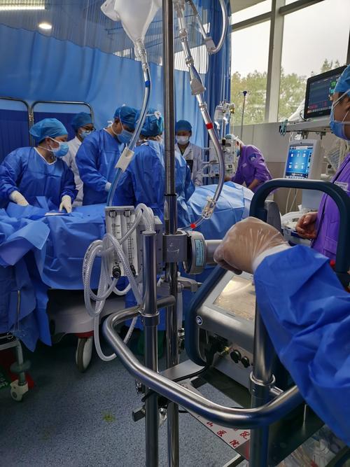 供卵试管代怀男孩全包_供卵试管代怀男孩全包服务