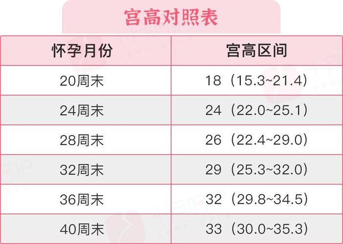 供卵试管代怀双胞胎费用【供卵试管代怀双胞胎费用分析及预算指南】